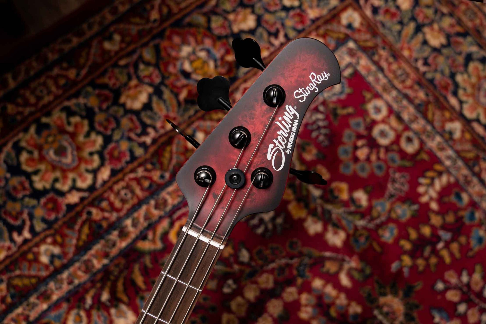 closeup of Stingray RAY34 roasted maple neck and headstock